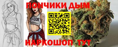 шишки Нарткала