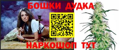 шишки Нарткала