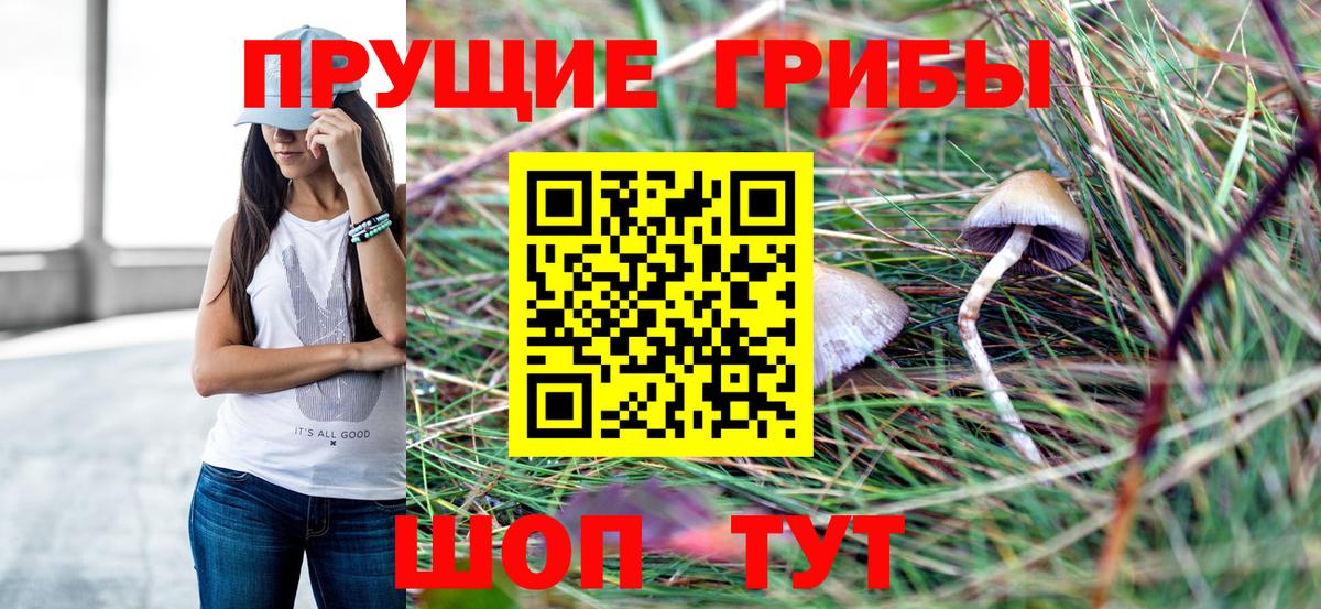 Рязань  Галлюциногенные грибы Psilocybine cubensis  Вход с VPN  Псилоцибиновые грибы Psilocybine cubensis 